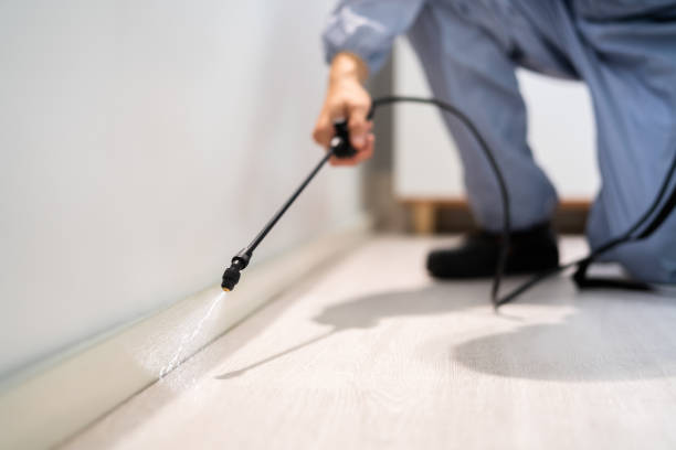 Bed Bug Pre-Treatment Preparation Assessment in Bridge City