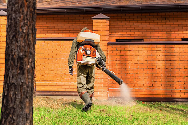 Bed Bug Clearance Verification and Documentation in Bridge City
